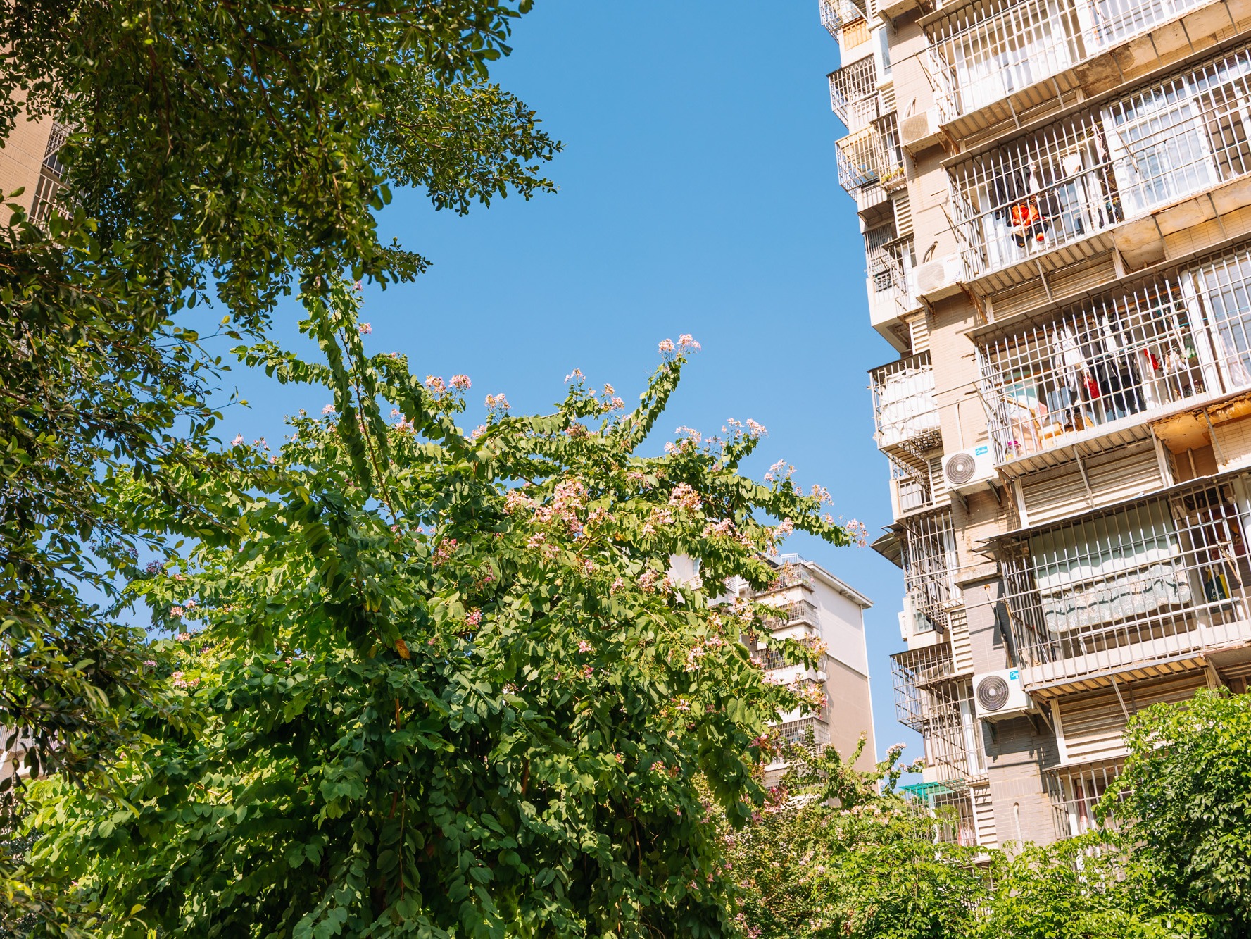 福湾新城春风苑