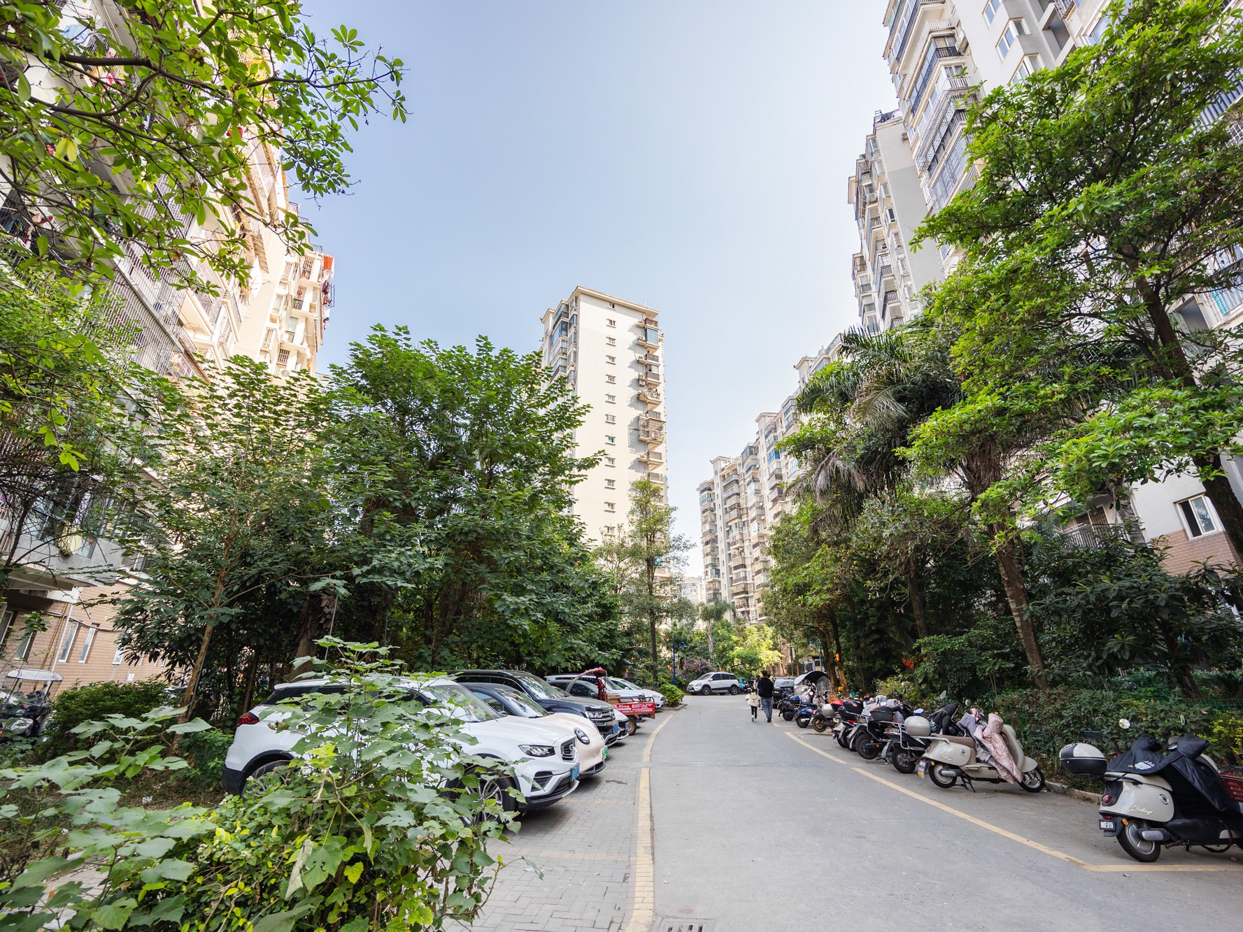 福湾新城秋月苑