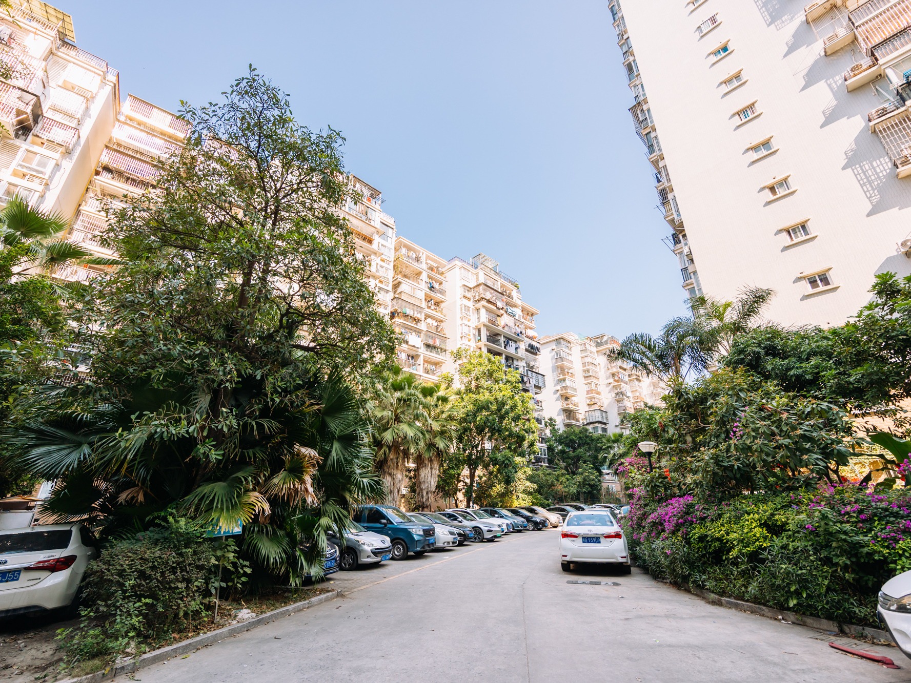 福湾新城秋月苑