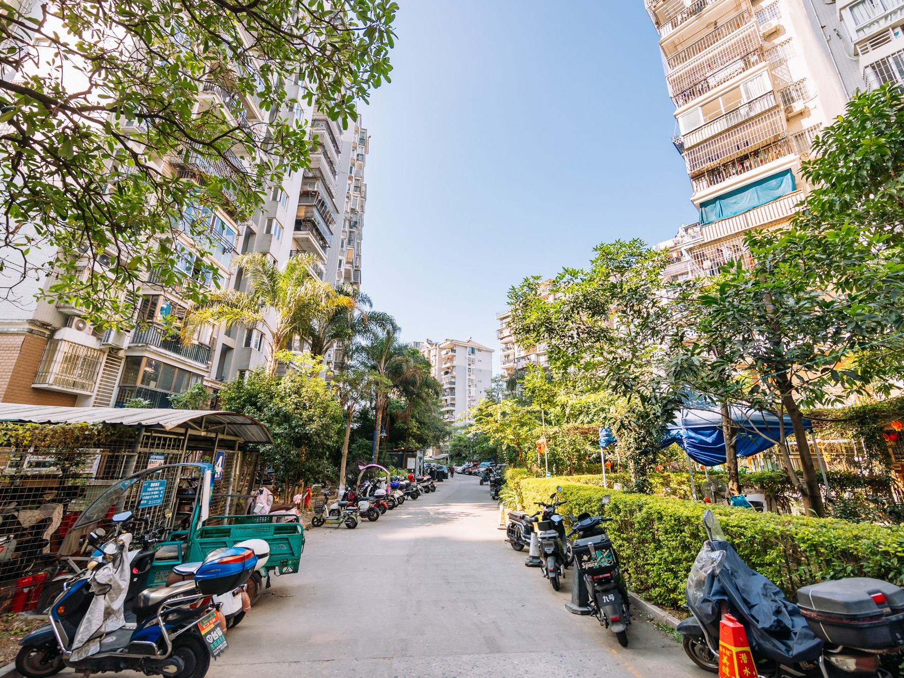 福湾新城秋月苑